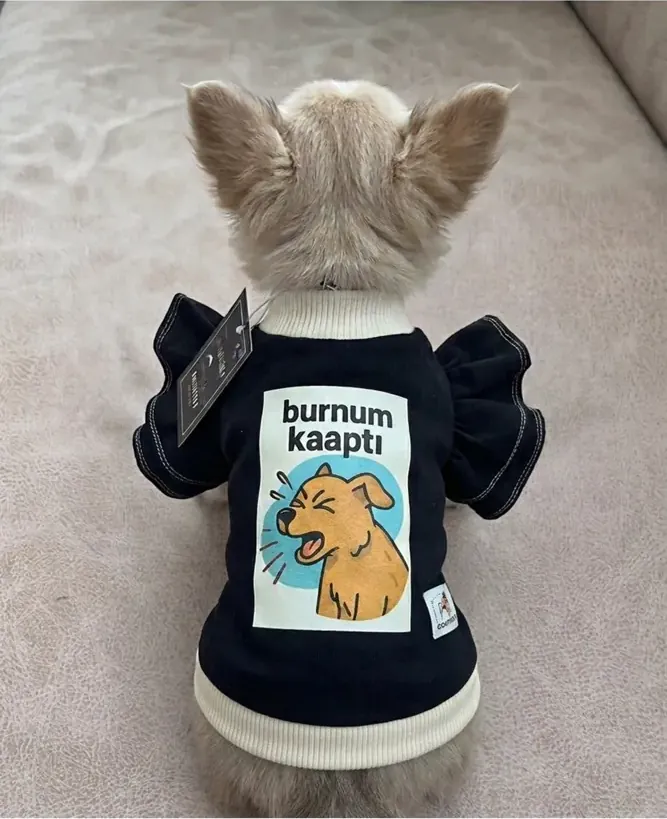 Aboutpet Hapşırık kedi köpek kıyafeti