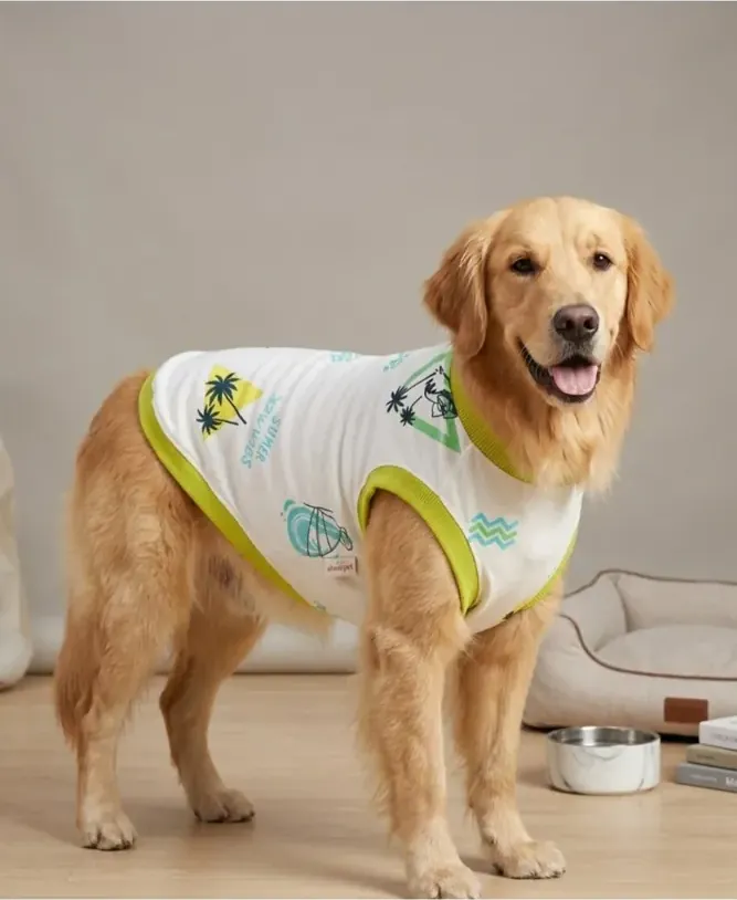 Aboutpet Summer Vibe kedi köpek kıyafeti