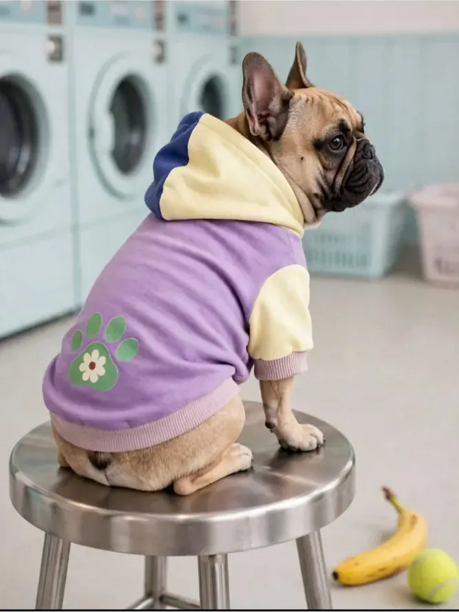 Aboutpet Purple Lemon kedi köpek kıyafeti