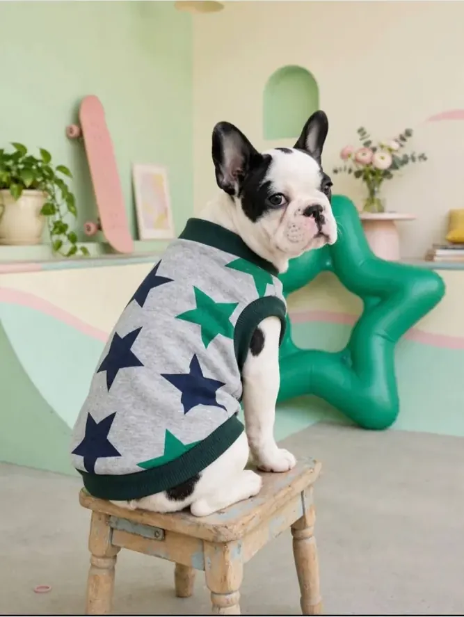 Aboutpet Starmy kedi köpek kıyafeti