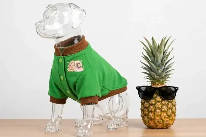 Aboutpet Grass kedi köpek kıyafeti